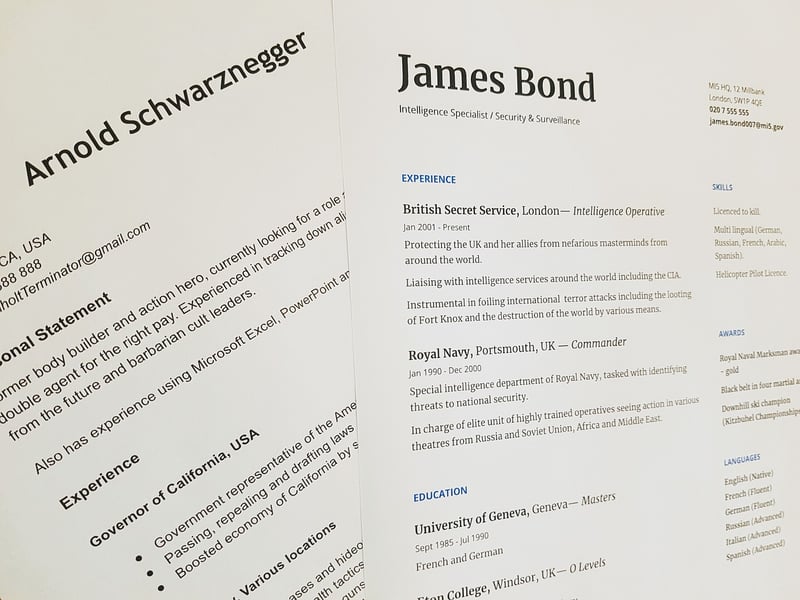 Resume example